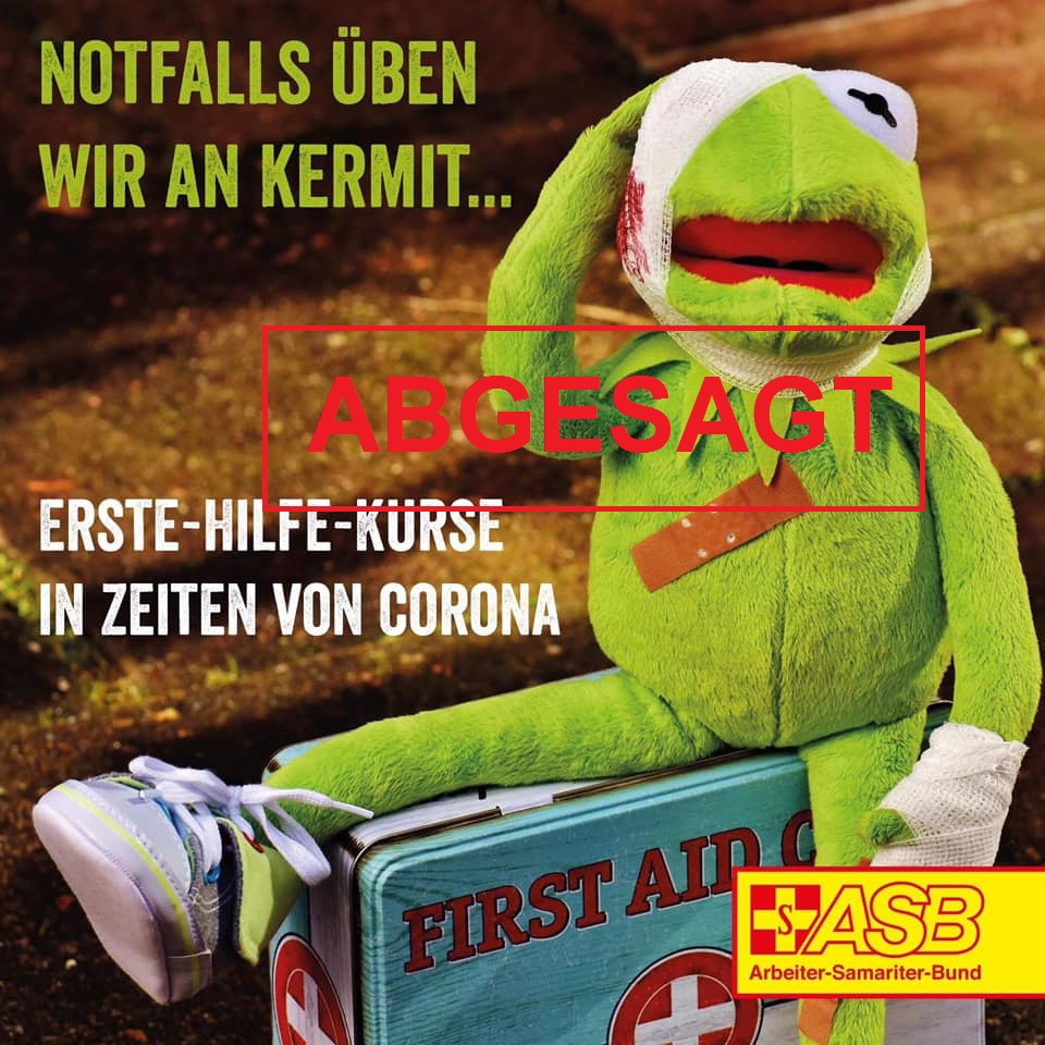 EH Corona Kermit 2.jpg
