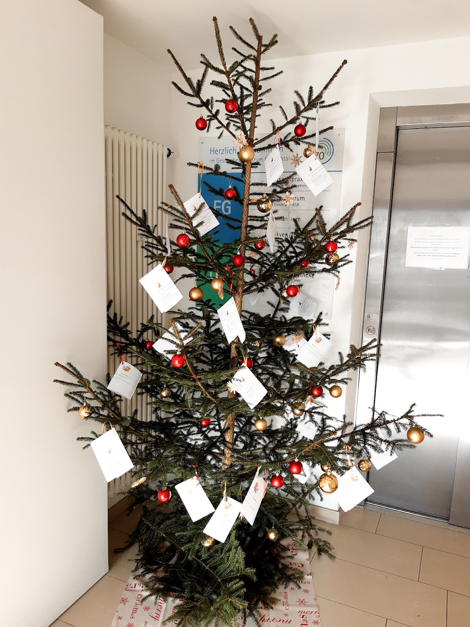 20201130_120603--orig.jpg