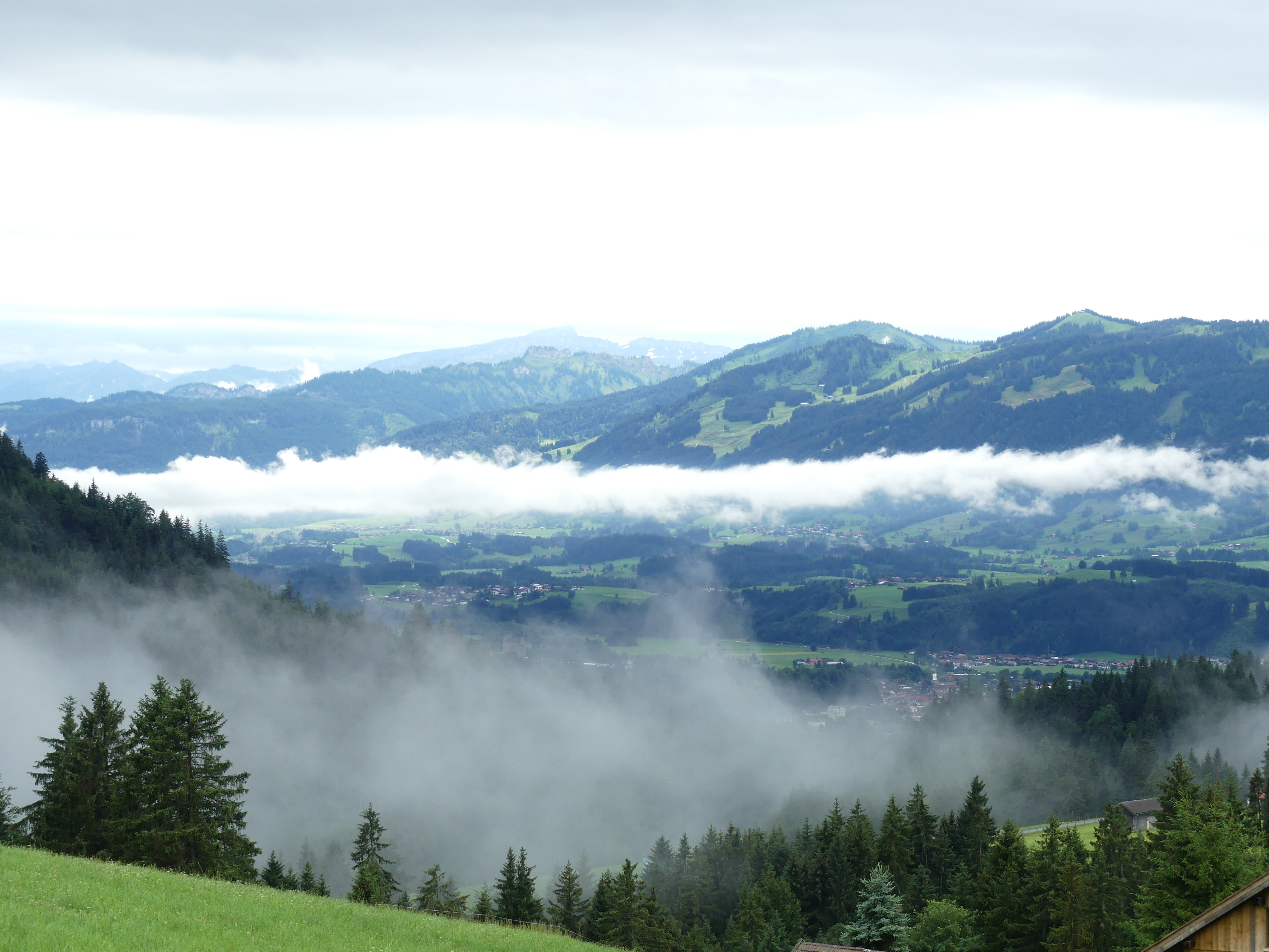 P1000123.jpg