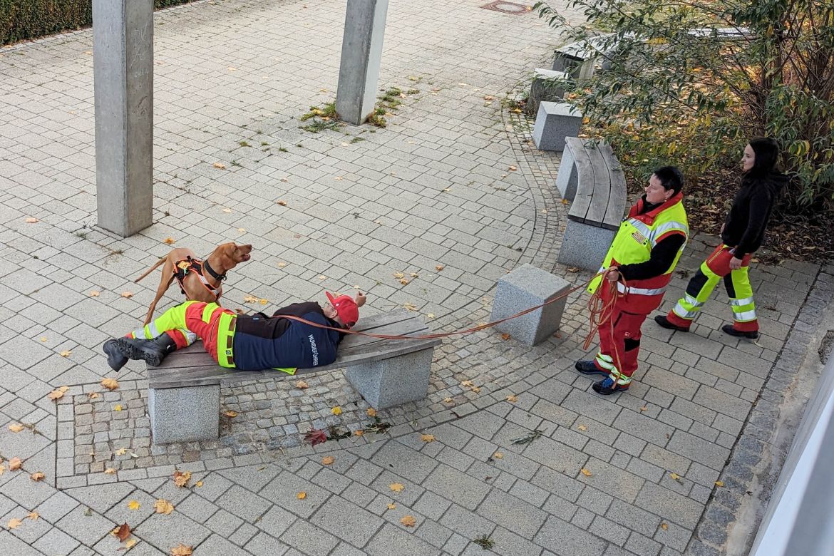 20231102-04 rhs.jpg