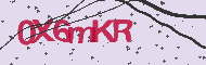 Ungültiger Sicherheitscode